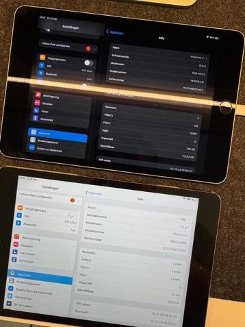 iPad mini 4 + iPad mini 2, Informatique & Logiciels, Enlèvement, Utilisé, 128 GB, Noir
