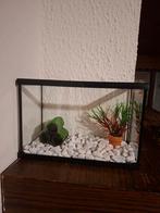 Aquarium, Ophalen of Verzenden, Nieuw
