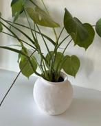 Bloempot zara home, Rond, Ophalen of Verzenden, Zo goed als nieuw, Aardewerk