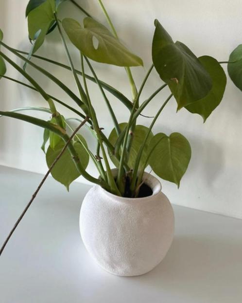 Bloempot zara home, Tuin en Terras, Bloempotten, Zo goed als nieuw, Aardewerk, Minder dan 40 cm, Minder dan 25 cm, Rond, Ophalen of Verzenden