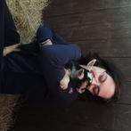 Geitje/ mieke gezocht, Dieren en Toebehoren, Schapen, Geiten en Varkens, Vrouwelijk, Geit, 0 tot 2 jaar