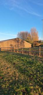 Pension familiale, Dieren en Toebehoren, Weidegang, 1 paard of pony