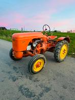 Porsche allgaier AP 17, Zakelijke goederen, Landbouw | Tractoren, Ophalen