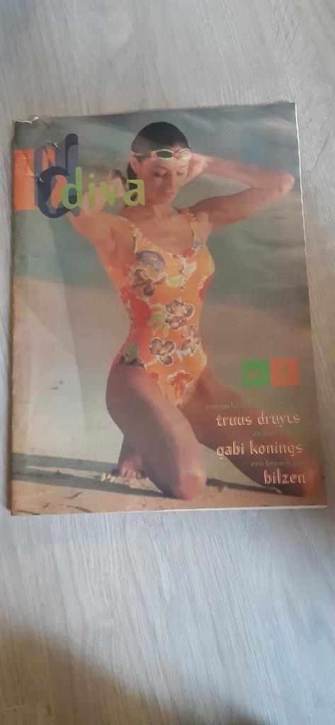 Artikel Truus Druyts, Gabi Konings, Bilzen - Diva 1996, Collections, Musique, Artistes & Célébrités, Comme neuf, Livre, Revue ou Article