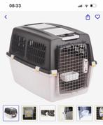 Honden bench te koop, Dieren en Toebehoren, Honden-accessoires, Ophalen, Zo goed als nieuw