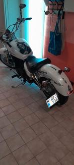 Honda shadow, Motoren, Motoren | Honda, Particulier, Cardan-aandrijving