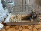 Konijn met kooi, Dieren en Toebehoren, Ophalen, Kooi, 60 tot 90 cm, Zo goed als nieuw