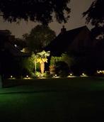Palm stekjes, Tuin en Terras, Ophalen