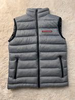 Prada Bodywarmer, Kleding | Heren, Bodywarmers, Verzenden, Nieuw, Prada, Grijs