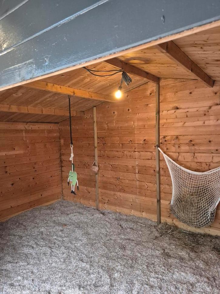 Plaatsje vrij op onze weide!, Dieren en Toebehoren, Paarden en Pony's | Overige Paardenspullen, Zo goed als nieuw, Ophalen