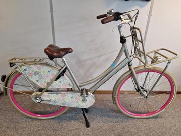 Cortina Lief transport fiets 
