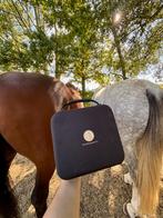 Lessen samen met je paard!, Diensten en Vakmensen, Dieren | Paarden | Verzorging, Oppas en Dressuur, Paardrijles of Ponykampen