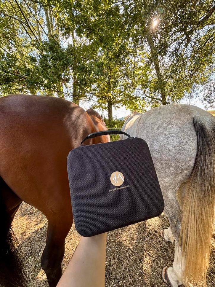 Lessen samen met je paard!, Diensten en Vakmensen, Dieren | Paarden | Verzorging, Oppas en Dressuur, Gedragstraining, Paardrijles of Ponykampen