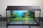 Juwel Korall 60 aquarium met toebehoren, Ophalen, Gebruikt