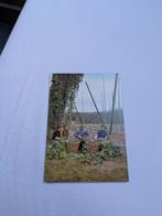 Asse - hopoogst, Ophalen of Verzenden, Ongelopen