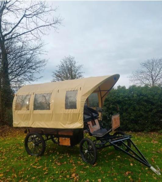 Paardenkoets, Animaux & Accessoires, Voitures & Carrosses, Utilisé, Autres types, Cheval