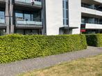 Appartement te koop in Sint-Kruis, 98 m², Appartement, 246 kWh/m²/jaar