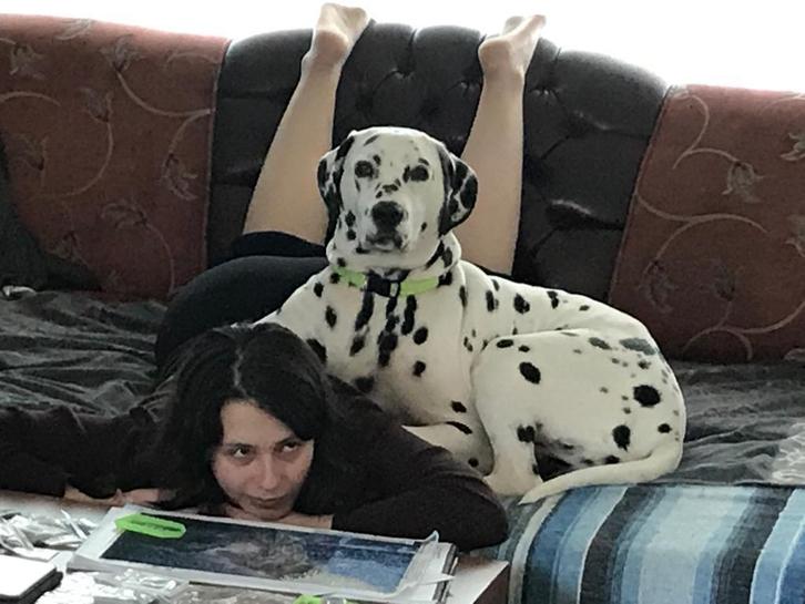 Gezocht woning, Immo, Op zoek naar een huis