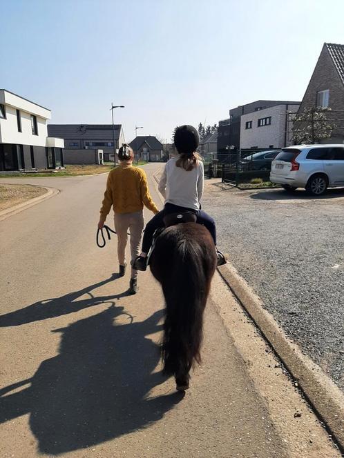Pony stap ritjes, Dieren en Toebehoren, Pony's