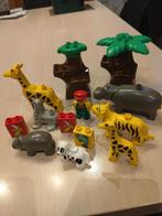 Duplo dieren + bomen, Ophalen of Verzenden, Gebruikt, Duplo