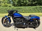 Uitstekende conditie, Mooi 2019 Harley-Davidson Breakout 114, Motoren, 2 cilinders, Particulier, Meer dan 35 kW, Chopper