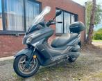 Kymco X-TOWN 125 cc, 1 cylindre, Scooter, Particulier, 125 cm³