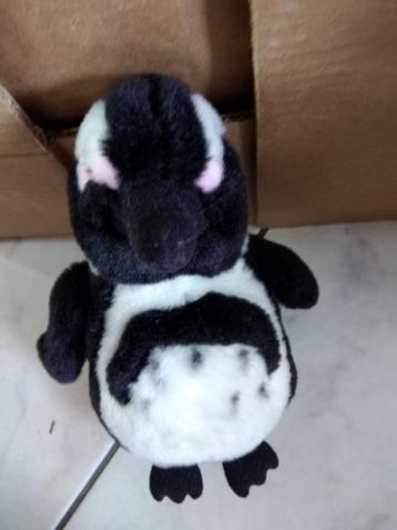 knuffel zoo antwerpen/planckendael pinguin(doos 59), Enlèvement ou Envoi, Neuf