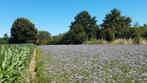 Gezocht alle types weide en/of akkerland te huur, Zakelijke goederen, Landbouw | Onroerend goed, Cultuurgrond, Ophalen of Verzenden