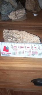 Opruiming NR3 fossielen versteend hout, Ophalen of Verzenden