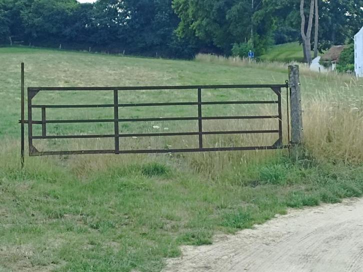 weide poot, Dieren en Toebehoren, Stalling en Weidegang