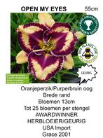 hémérocalles hémérocalles, Jardin & Terrasse, Plantes | Jardin, Plein soleil, Été, Plante fixe, Enlèvement ou Envoi