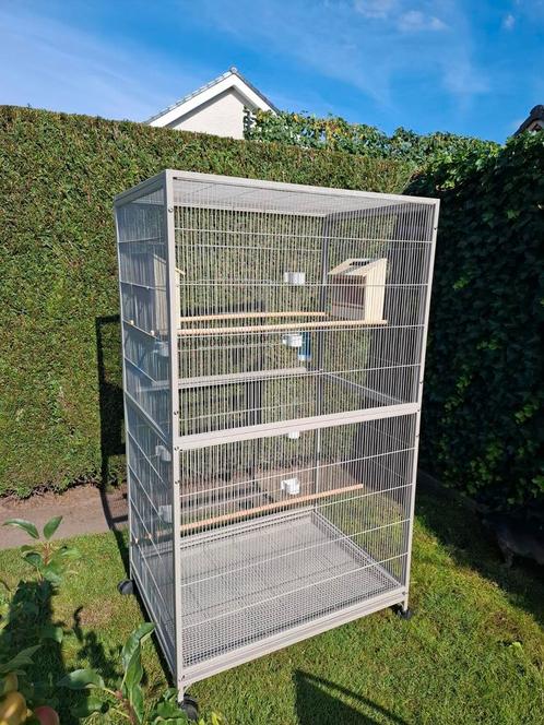Volière voor kanarie of anders vogels ., Dieren en Toebehoren, Vogels | Duiven