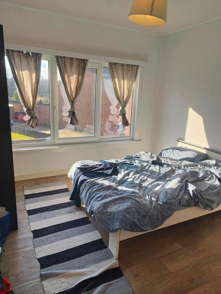 Koningin astridlaan92, Immo, Appartementen en Studio's te huur