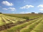 6,74 betalingsrechten GLB 2025 te huur aan voordelige prijs, Zakelijke goederen, Landbouw | Werktuigen, Ophalen of Verzenden, Akkerbouw