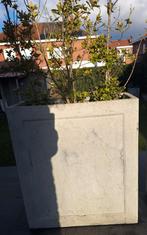 Bloembak beton 2 stuks, Tuin en Terras, Bloembakken en Plantenbakken, Ophalen