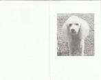 Tiny van Hemert Dekkers met hond 1949-2000, Collections, Images pieuses & Faire-part, Enlèvement ou Envoi