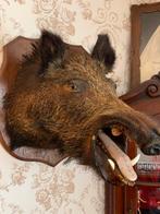 Animal, Enlèvement ou Envoi, Comme neuf