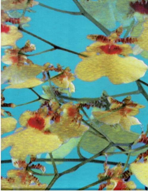Urs Lüthi: Art for a better life From placebos & surrogates, Boeken, Kunst en Cultuur | Beeldend, Gelezen, Ophalen of Verzenden