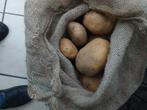 Bewaaraardappelen, Tuin en Terras, Ophalen