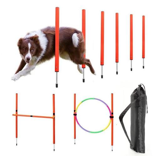 Huisdier Behendigheid Training - agility honden, Dieren en Toebehoren, Honden-accessoires