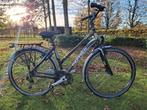 Damesfiets Thompson, Fietsen en Brommers, Fietsen | Dames | Damesfietsen, 50 tot 53 cm, Ophalen, Gebruikt, Overige merken