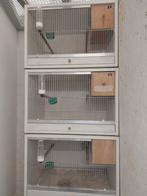 Kweekkooien met kweekblok 3 stuks beschikbaar stapelbaar, Dieren en Toebehoren, Vogels | Hokken en Kooien, Ophalen, Zo goed als nieuw