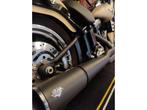 Harley-Davidson SOFTAIL FAT BOY (bj 2015), Motoren, Motoren | Harley-Davidson, 2 cilinders, 1687 cc, Bedrijf, Overig