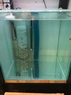 2x quarantaine aquarium 50x50x50, Dieren en Toebehoren, Ophalen, Gebruikt, Leeg aquarium