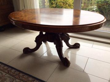 Mooie ovale salontafel wortelnoten blad beschikbaar voor biedingen