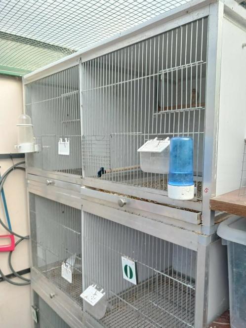 Cages en aluminium, Animaux & Accessoires, Oiseaux | Cages & Volières, Comme neuf, Enlèvement ou Envoi