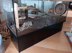 Glazen terrarium voor hamster, Ophalen, Zo goed als nieuw
