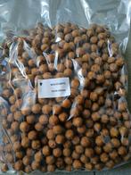 verse boilies per 5 kg, Watersport en Boten, Nieuw, Ophalen of Verzenden