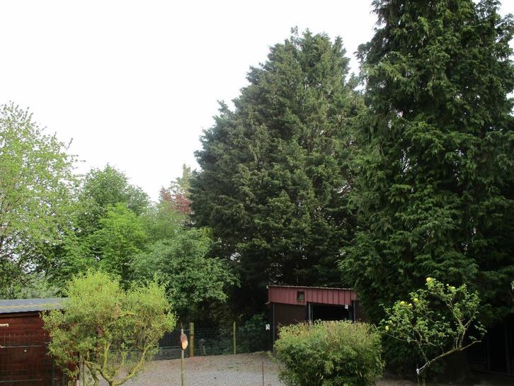 cherche femme, Contacten en Berichten, Man zoekt Vrouw