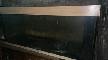 Juwel rio 240 beschikbaar voor biedingen